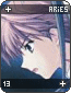 aries13.gif