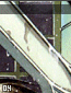 dragon04.gif