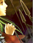 tellius15.gif